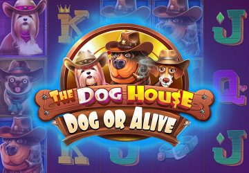 NOVOMATIC - игровой автомат онлайн от Various с RTP 96.43%